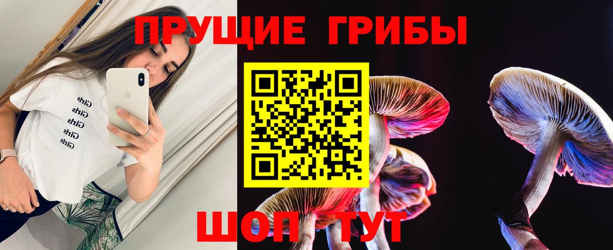 Галлюциногенные грибы Psilocybine cubensis Сергиев Посад